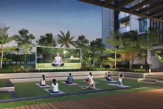 Yoga Zone
